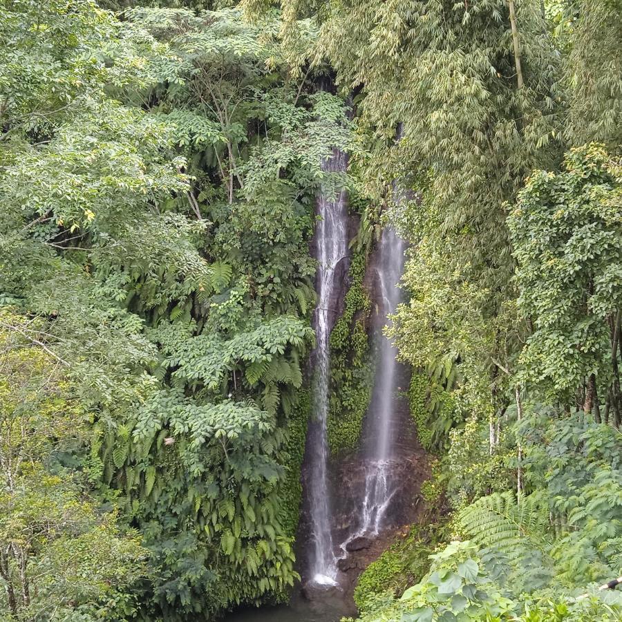 Munduk Tutub Waterfall View ภายนอก รูปภาพ