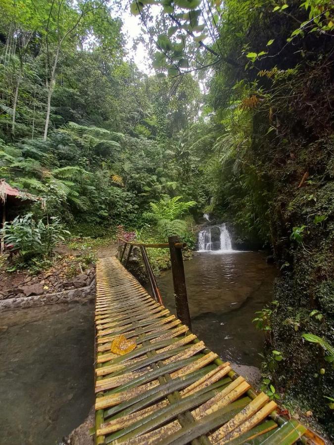 Munduk Tutub Waterfall View ภายนอก รูปภาพ