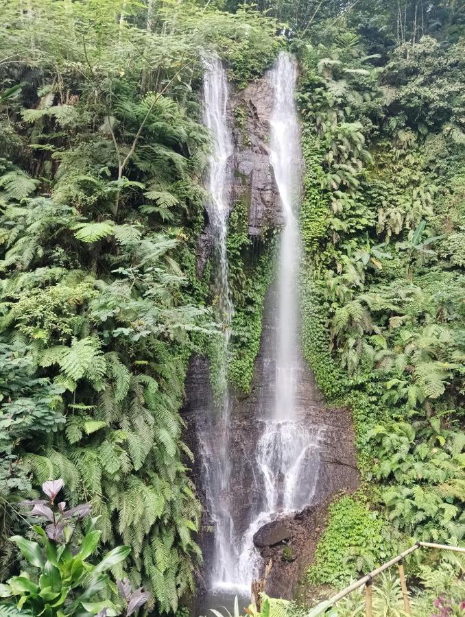 Munduk Tutub Waterfall View ภายนอก รูปภาพ