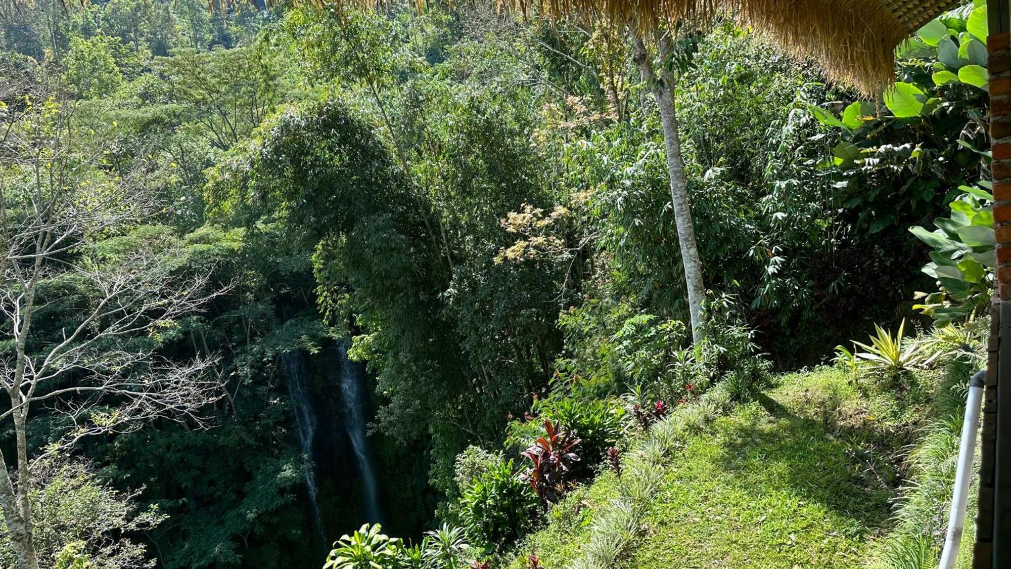 Munduk Tutub Waterfall View ภายนอก รูปภาพ